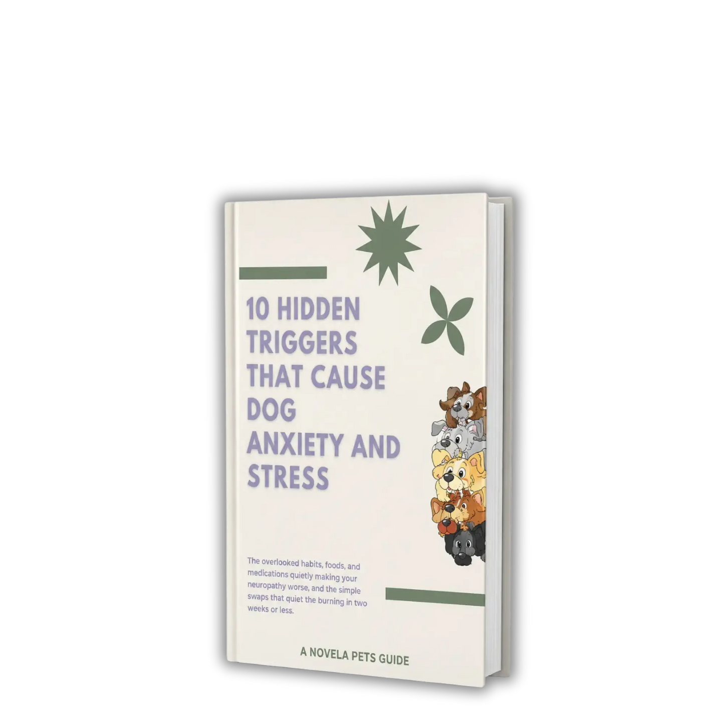 10 Hidden Triggers That Cause Dog Anxiety and Stress.