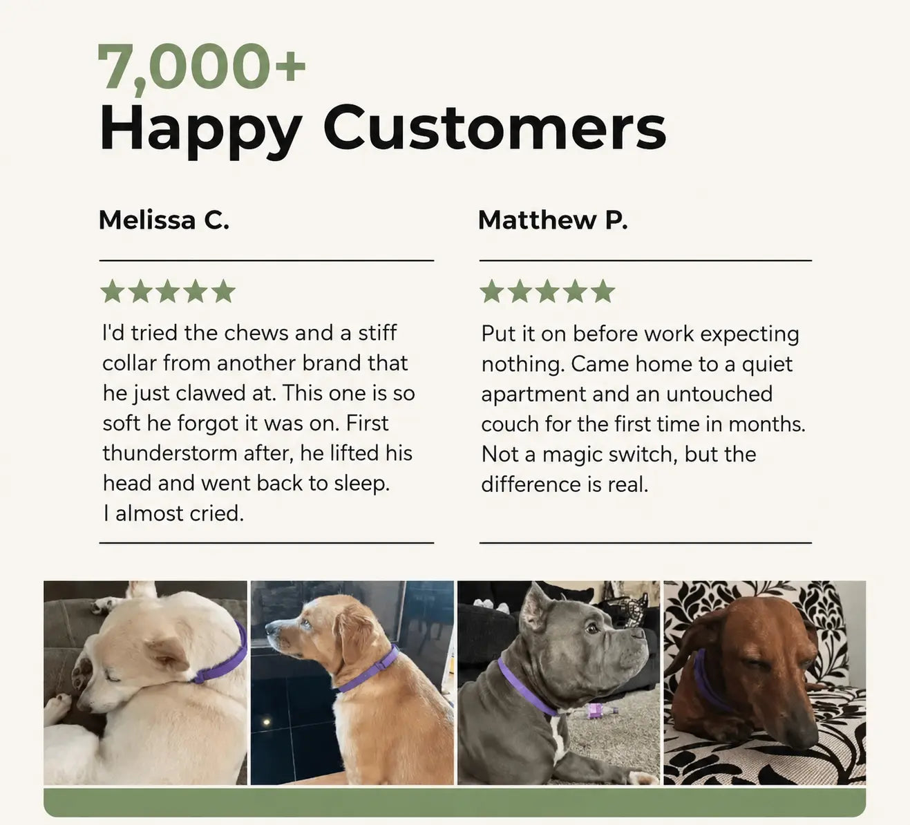 Pet Calming and Soothing Collar
