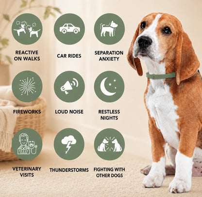 Pet Calming and Soothing Collar