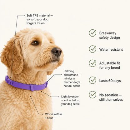 Pet Calming and Soothing Collar