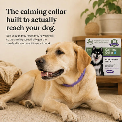 Pet Calming and Soothing Collar