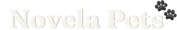 Novela