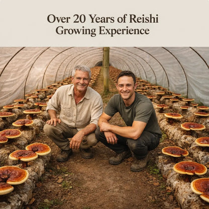 Novela Botanics Reishi Relax Gummies