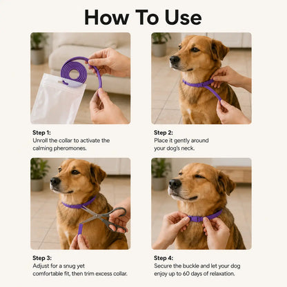 Pet Calming and Soothing Collar